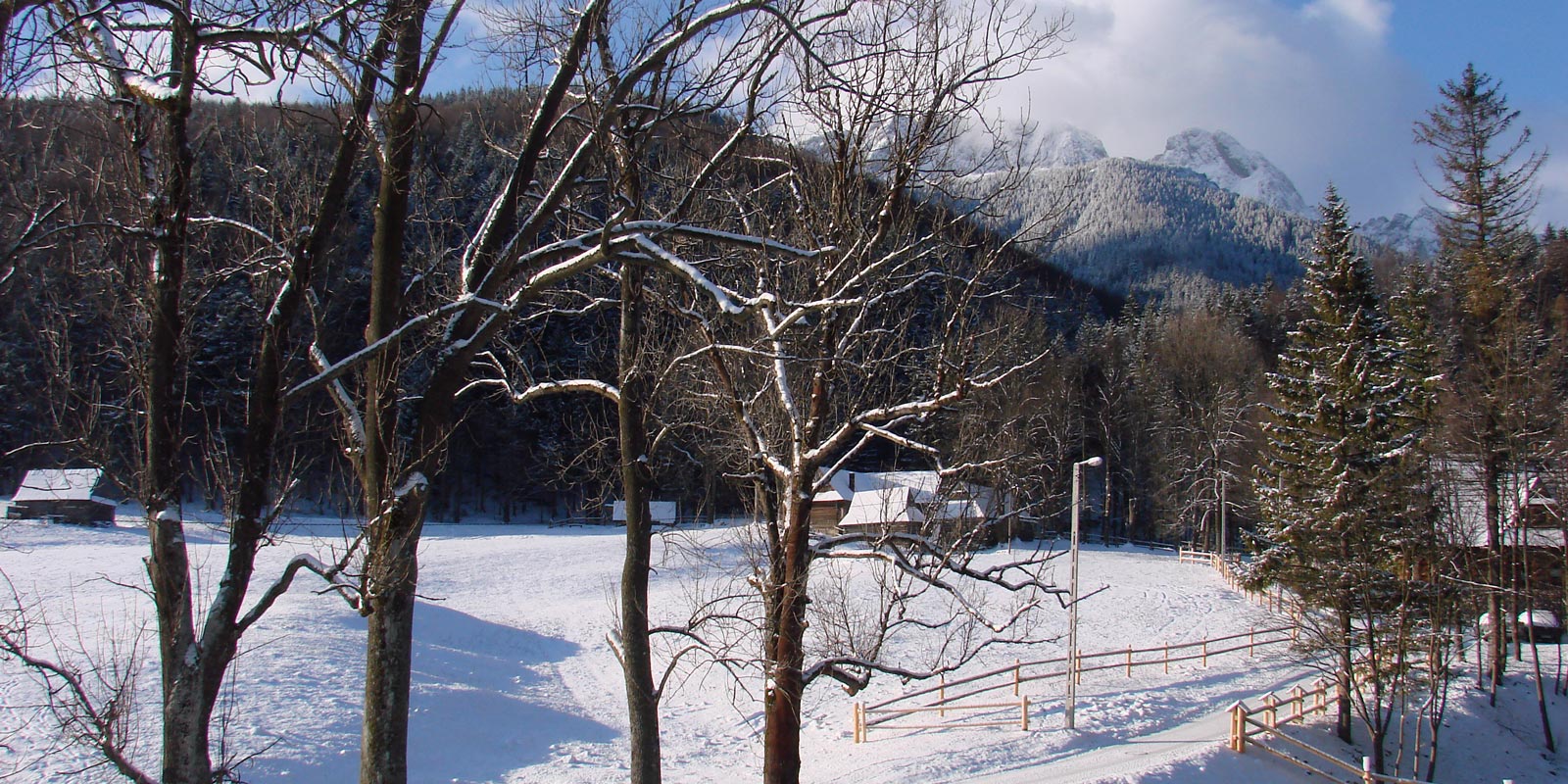 Vila U LISA v Zakopaném, pokoje k pronájmu, Polsko Tatry 05