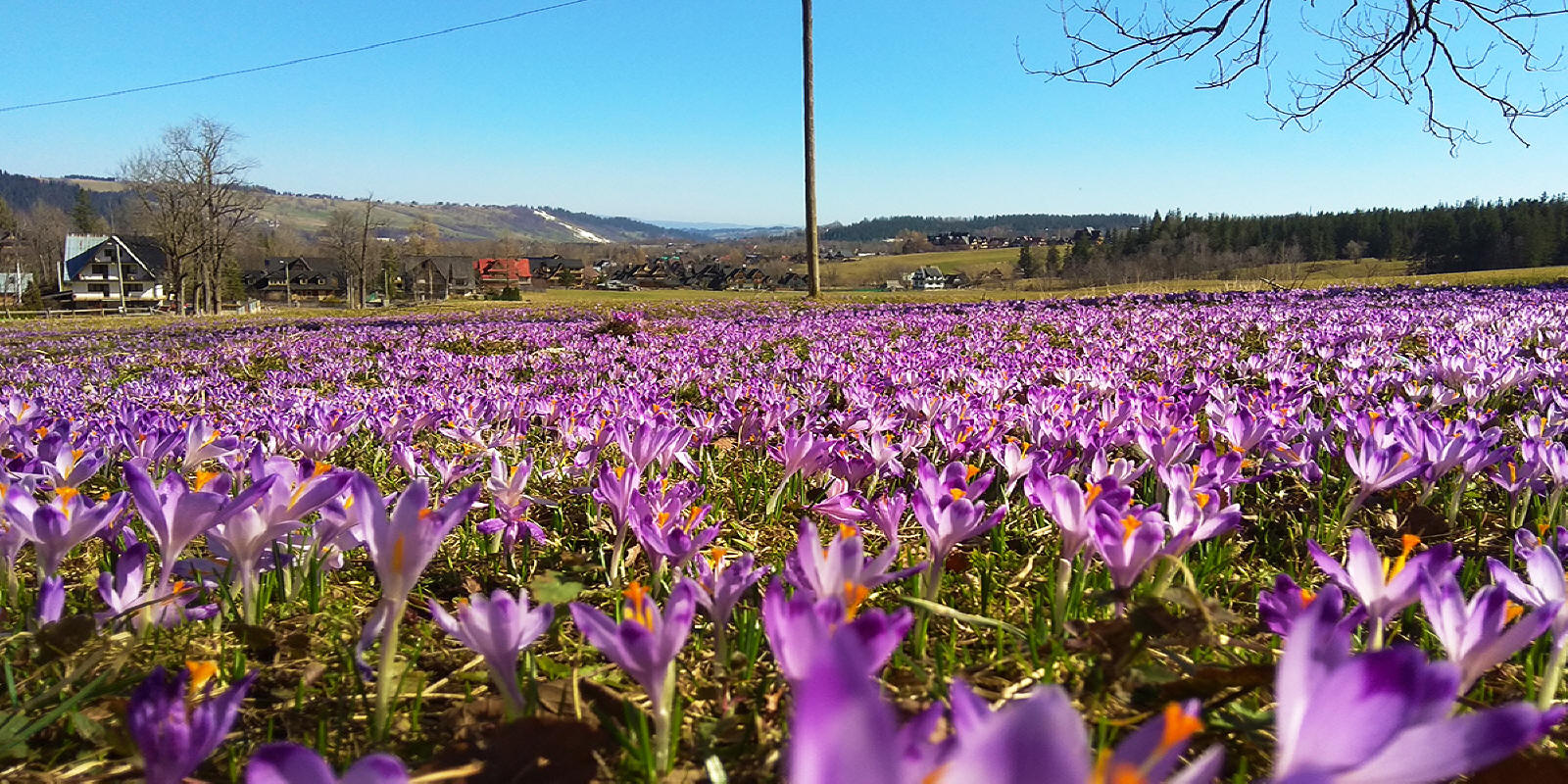 Vila U LISA v Zakopaném, pokoje k pronájmu, Polsko Tatry 01